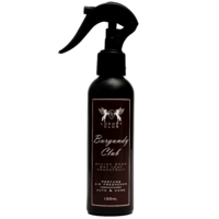 Air Spice Ароматизатор-спрей Club Spray Burgundy Club (по мотивам Paco Rabanne Lady Million) 130мл BFS12